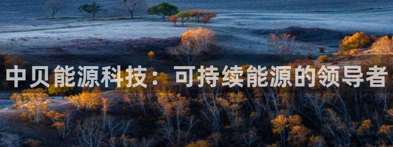 下载申搏sunbet并安装app