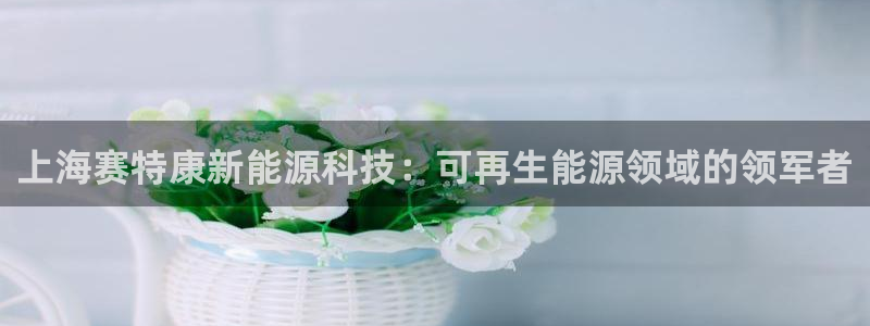 sunbet燃气灶