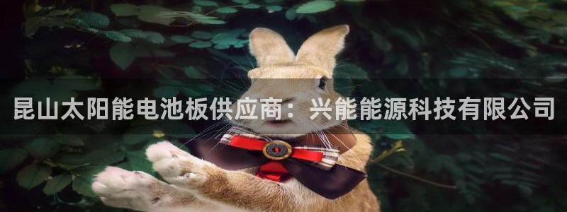 sunbet游戏官网
