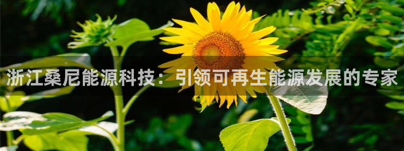 sunbet手机app版