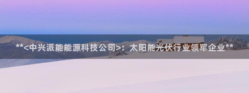 sunbet官网手机版登录