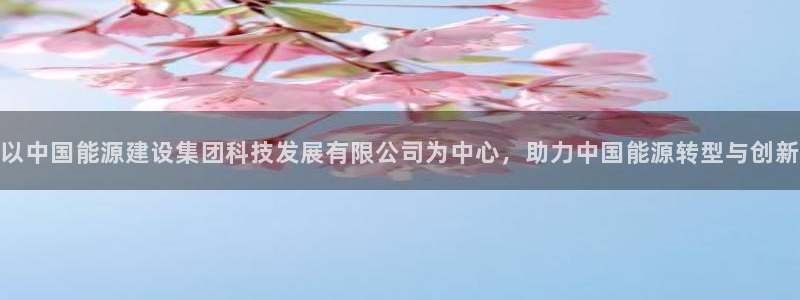 sunbet源码