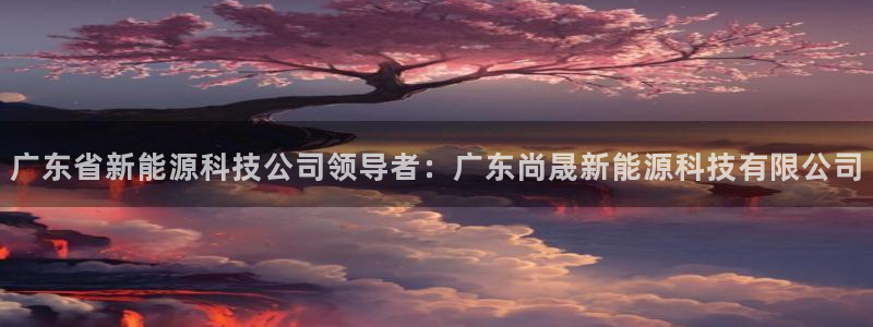 sunbet手机版官网下载