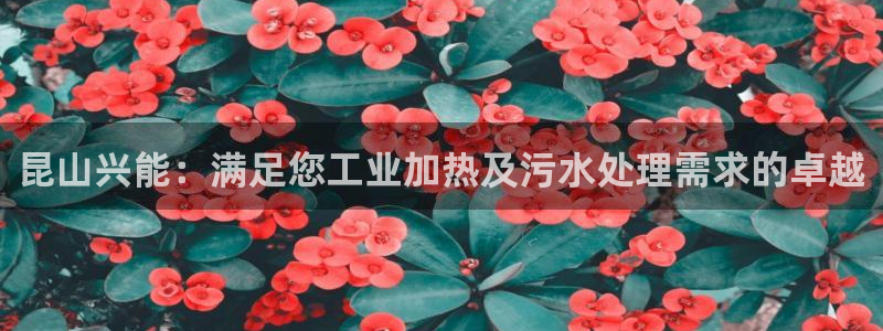 sunbet官网app首页
