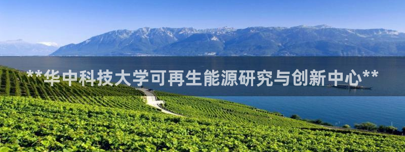 sunbet英语翻译