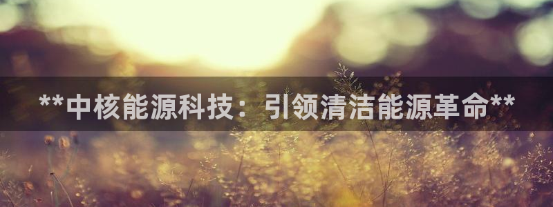申博手机网址
