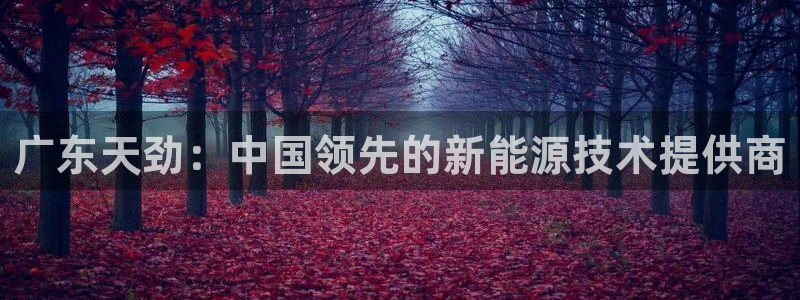 sunbet申搏app下载