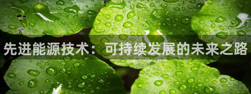 申慱sunbet手机版登