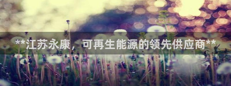 sunbet手机版官网下载