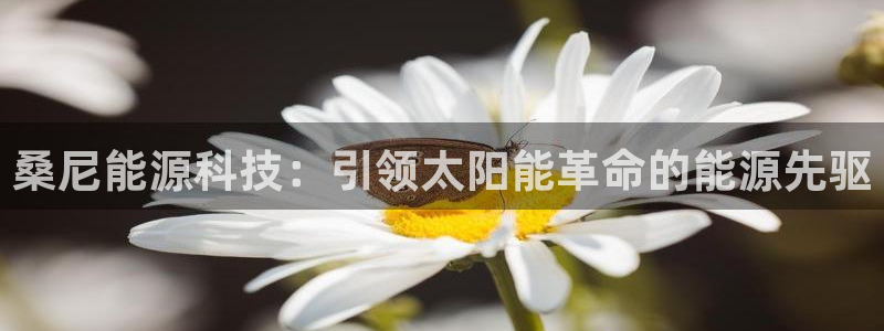 sunbet手机app版