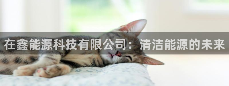sunbet最新消息