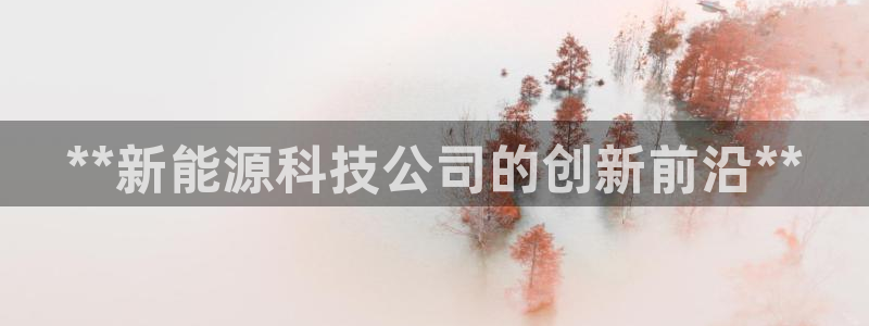 sunbet程序
