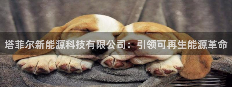sunbet申搏官方网站
