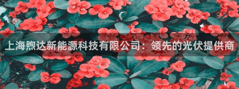申博官网手机版下载app