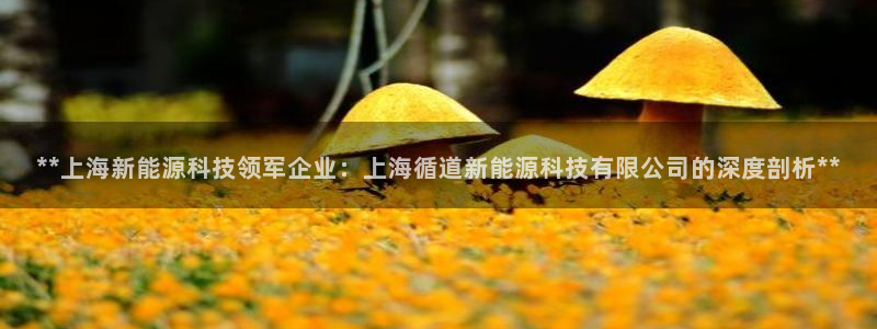 申博手机网址