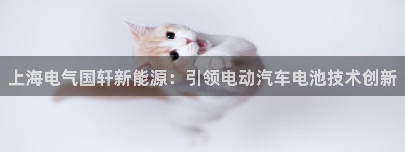 申博官网电脑版下载