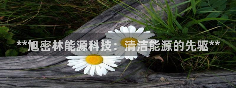 sunbet官网welcome