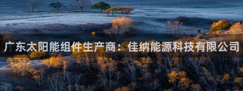 申慱sunbet版app