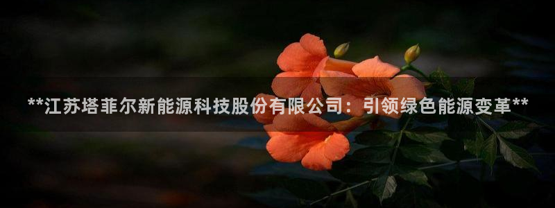 sunbet中国官网