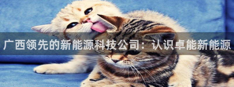 sunbet申搏平台