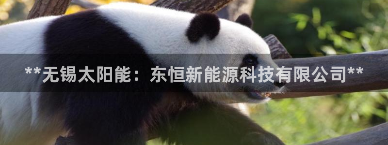 申慱sunbet网站