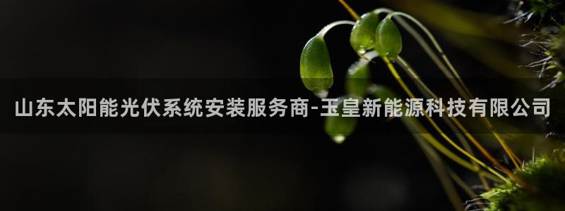 sunbet安卓下载