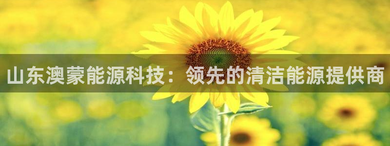 sunbet手机版官网下载