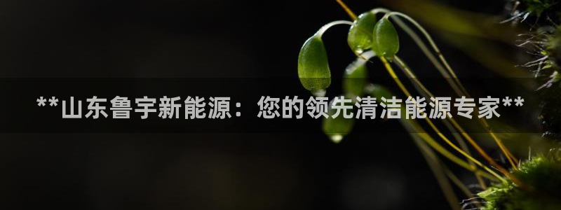 sunbet游戏