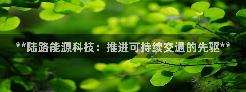 sunbet最新消息