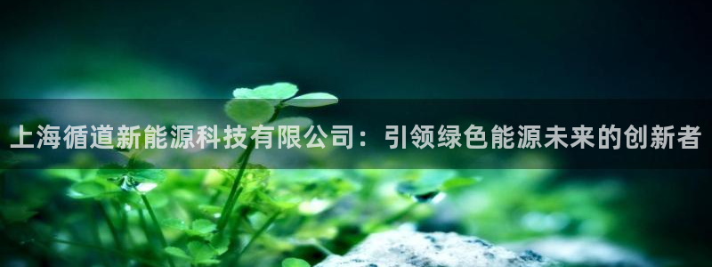 sunbet中文