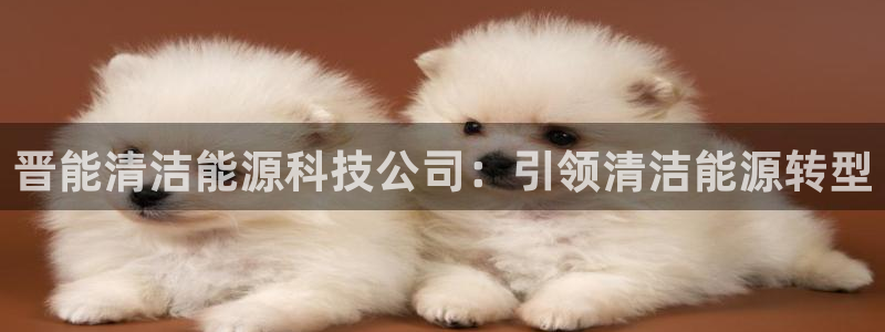 sunbet首页登录入口