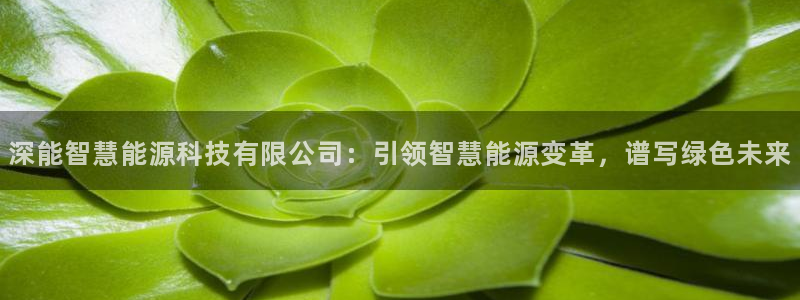 sunbet官网代理下载