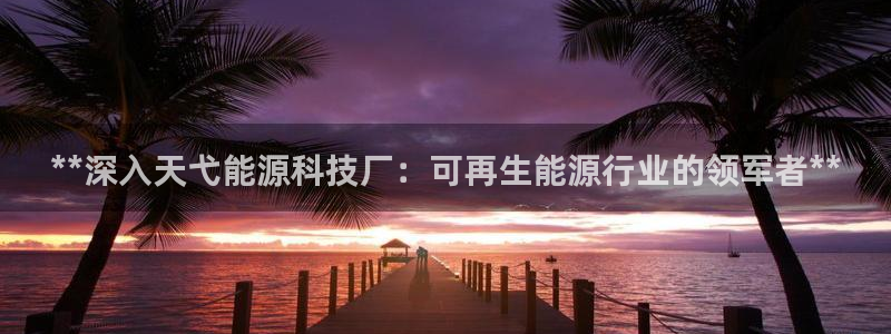 sunbet中国官网