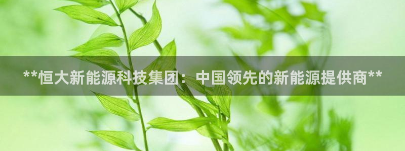 sunbet官网app首页