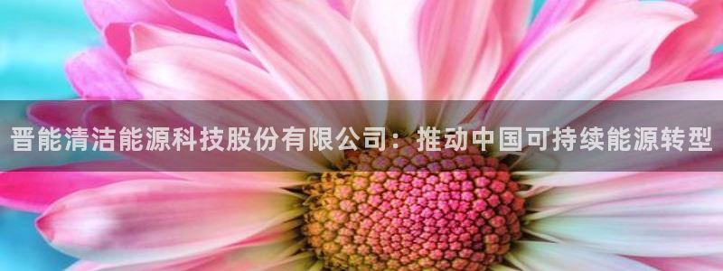 sunbet手机网页版