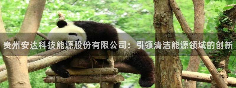 下载申搏sunbet并安装app