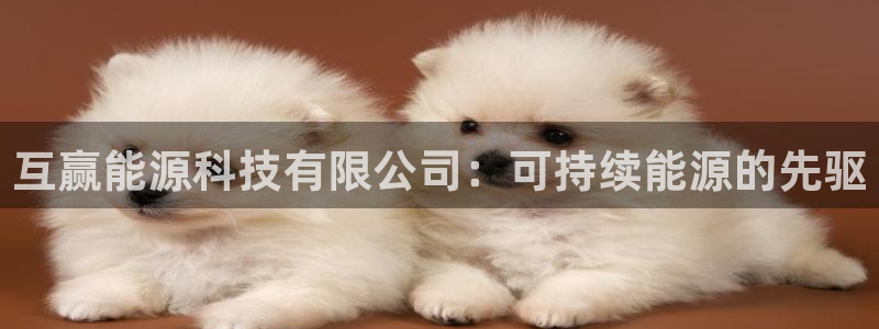 申博官网电脑版下载