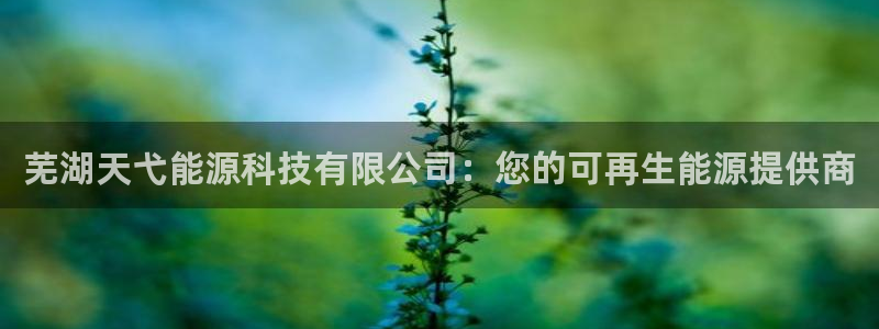 sunbet游戏地址