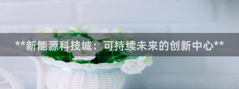 sunbet申搏平台