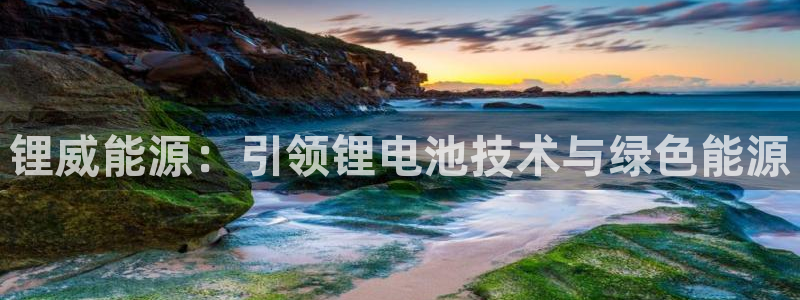 sunbet手机版官网下载