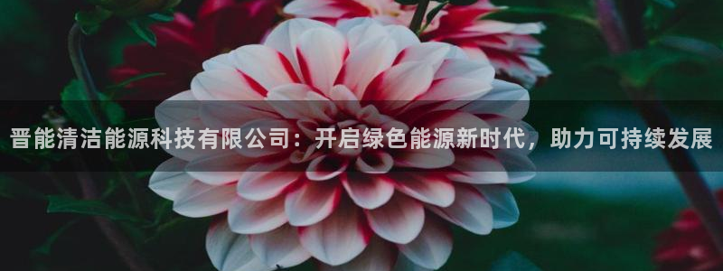 申博官网电脑版下载