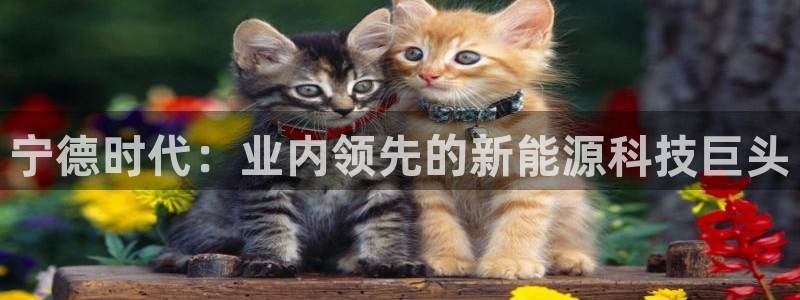 sunbet申搏官方网站