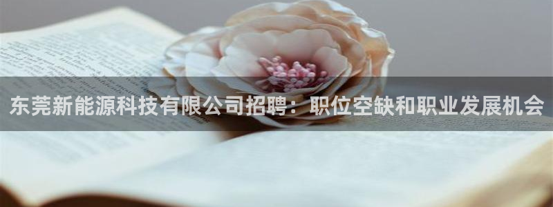 sunbet手机网页版下载