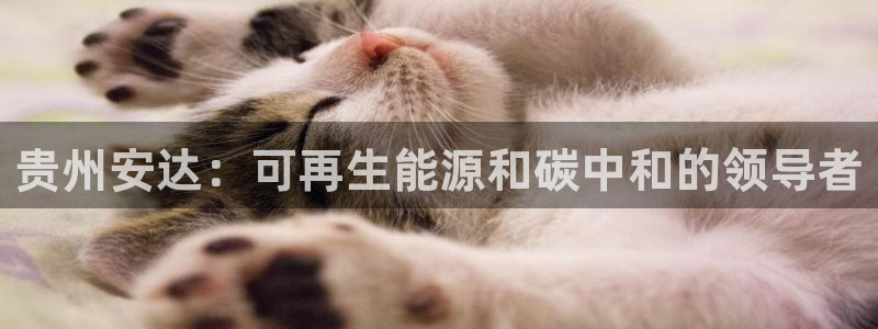 申博手机网址