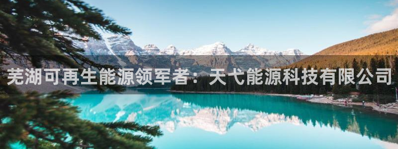 sunbet游戏网
