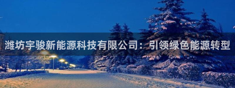 sunbet英语翻译