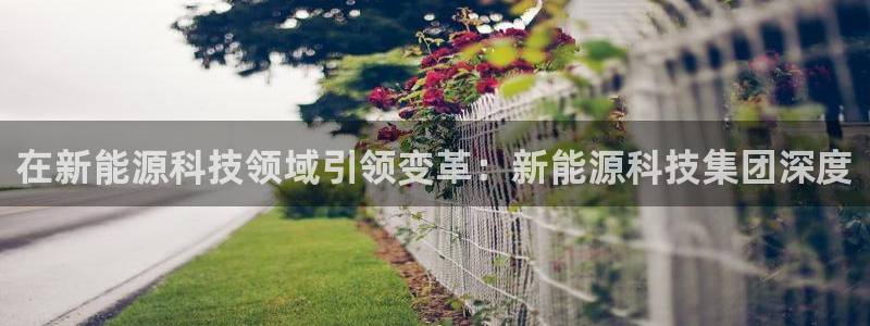 申博官网电脑版下载