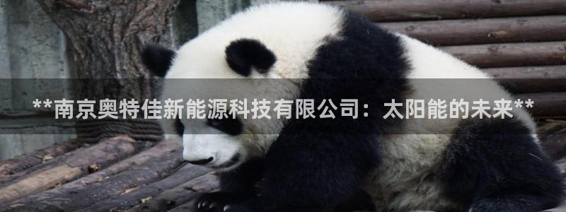 申博视讯