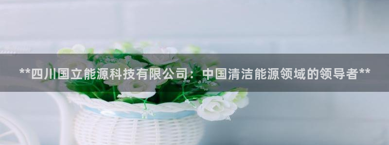 申博官方网站手机版下载