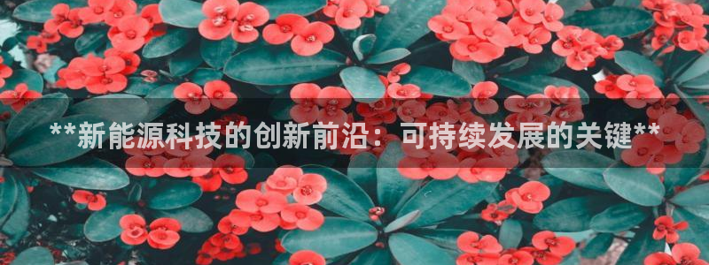 sunbet官网welcome